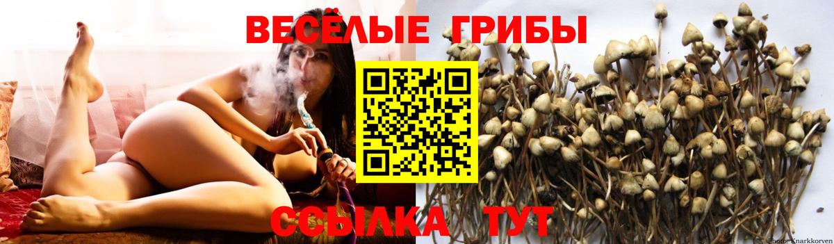 Псилоцибиновые грибы Magic Shrooms Новоалександровск